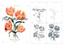 do color separation for screen printing design